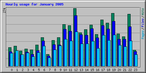 Hourly usage for January 2005
